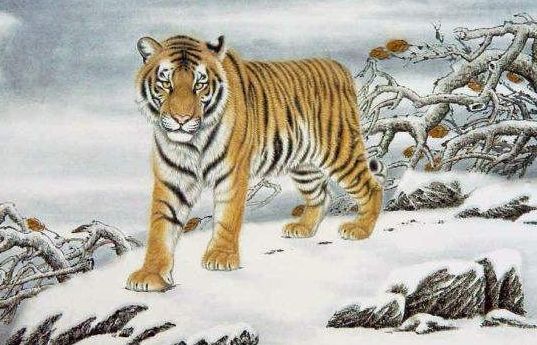 自我封閉，躲在角落。誰說高處不勝寒猜一正确生肖仔细释义、解释与落实、实时解答解释落实