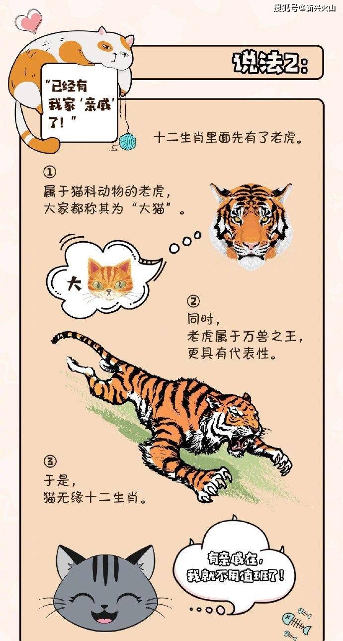 照猫画虎打一准确生肖答案的警惕虚假宣传-全面释义、解释与落实、精准解答解释落实