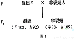 六十光阴三和三准确生肖精选解析、解释与落实、构建解答解释落实