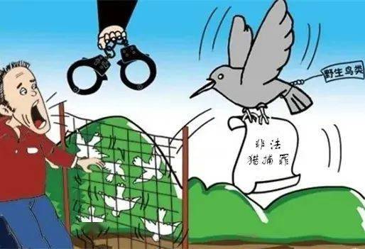 狠愎自用打一动物生肖的警惕虚假宣传-详细解答解释落实