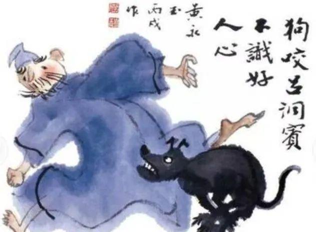 骂狗打鸡猪在笑三心两意不成气是什么生肖全面释义、构建解答解释落实