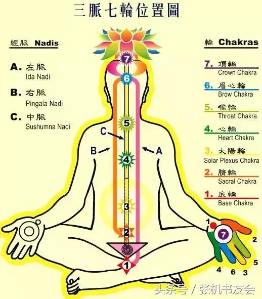 十字之下马出全,是赢是输有分晓!指是猜一最佳准确生肖,警惕虚假宣传,全面解答解释落实
