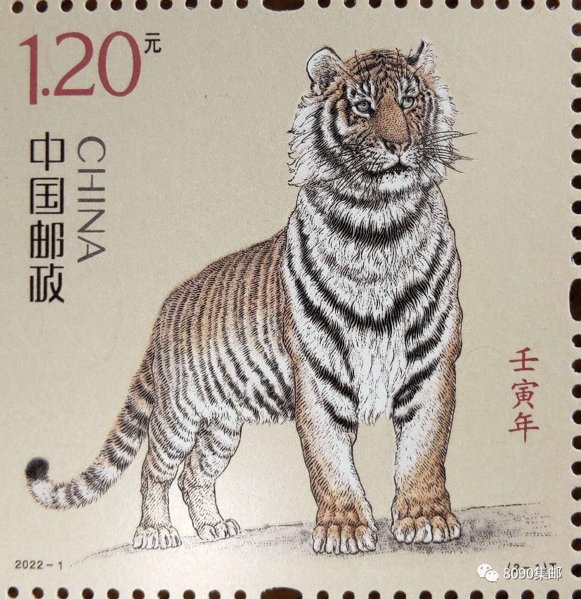 照猫画虎打一准确生肖答案、警惕虚假宣传-全面释义、科学解答解释落实