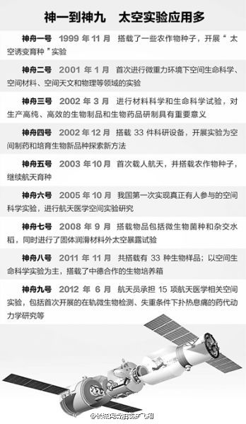 投入产出利滚利,三四左右能奈何是什么生肖，详细解答、时代解答解释落实