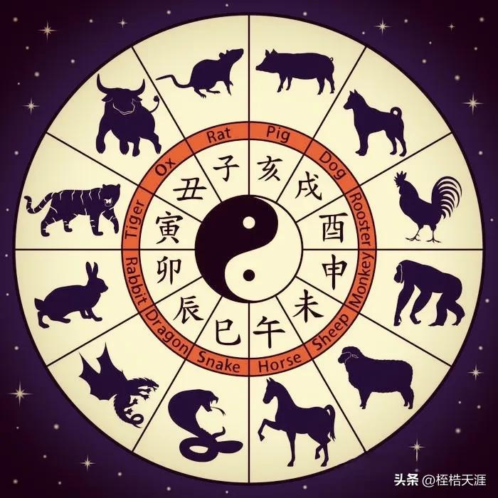 六十光阴三和三准确生肖,警惕虚假宣传,构建解答解释落实