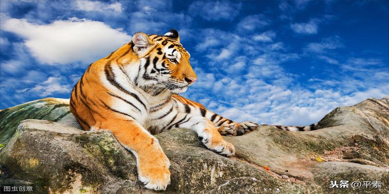 自我封閉，躲在角落。誰說高處不勝寒猜一正确生肖仔细释义、解释与落实、实时解答解释落实
