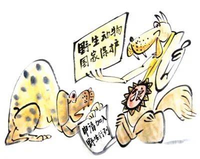生不如死打一准确生肖的警惕虚假宣传-统计解答解释落实