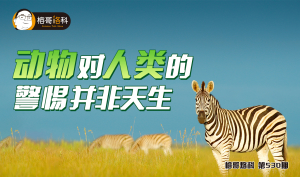 狠愎自用打一动物生肖的警惕虚假宣传-详细解答解释落实