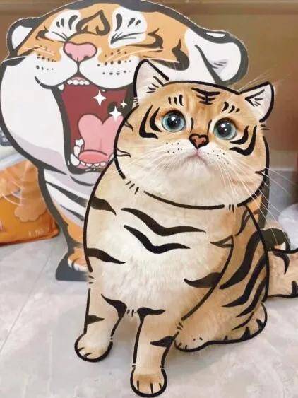 照猫画虎打一准确生肖答案、警惕虚假宣传-全面释义、科学解答解释落实
